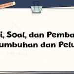 Materi, Soal, dan Pembahasan – Pertumbuhan dan Peluruhan