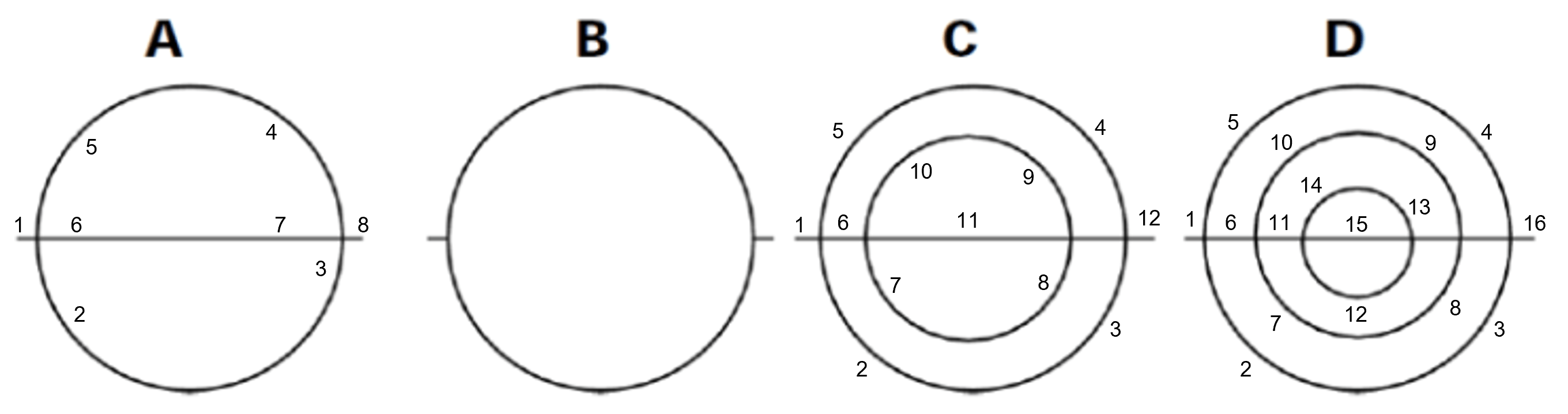 Kangaroo math