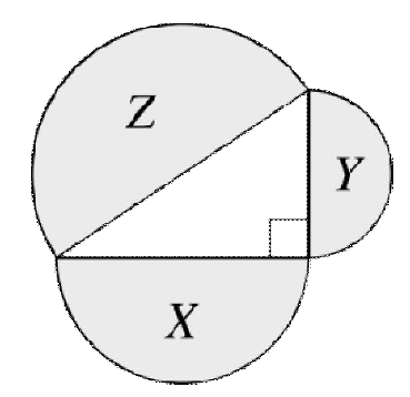 Kangaroo math