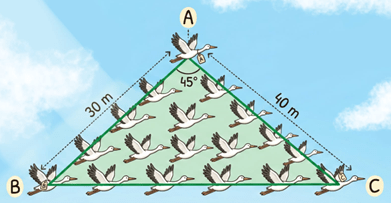 Aturan luas segitiga pada trigonometri