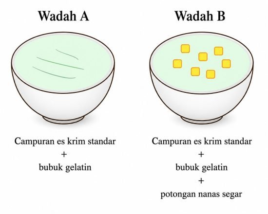 TKA Biologi
